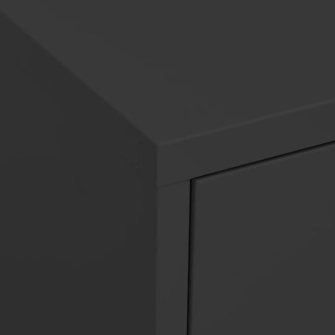 Anthracite Steel Storage Cabinet with Two Doors and Two Drawers, Adjustable Shelf, Ball-Bearing Runners, Levelers for Stability, Modern Design for Home Office Organization