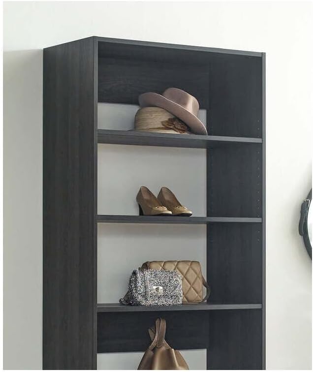 Maykoosh Closet System Organizer - Customizable Walk-in Wardrobe Storage Black/Model E 1 Closet