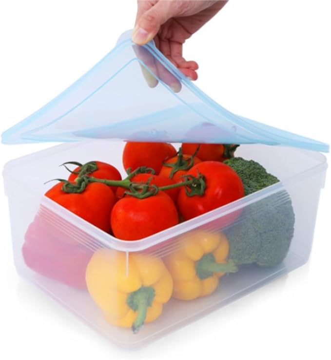 Food Storage Container Kitchen Transparent Food Preservation Box Can Be Heated And Frozen Sealed Box With Lid Refrigerator Storage Box Kitchen Refrigerator Food Organizer ( Color : Clear , Size : 5L )