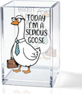 Today I'm A Serious Goose Acrylic Cosmetic Pencil Holder Cup, Funny Silly Goose Pen Holder Gifts For Women Men Friends HR Boss, Office Sarcastic Humor Gifts for Coworkers, Goose Lover Present
