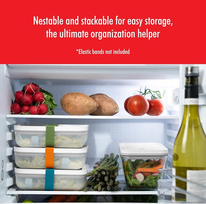 ZWILLING Fresh & Save Plastic Flat Lunch Box, Airtight Container, Meal Prep, BPA-Free, Grey, Semitransparent - Large