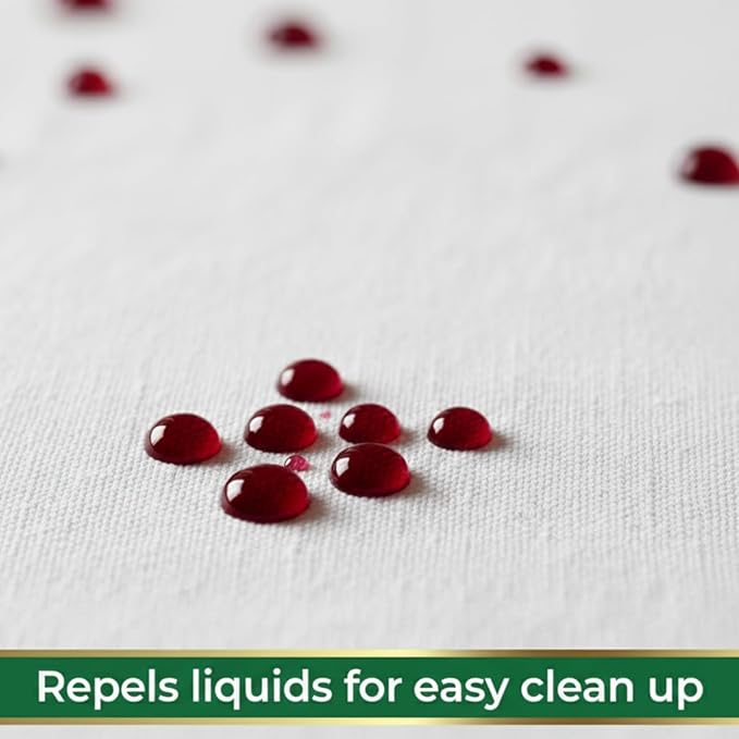 MASTERGUARD Fabric Protection Spray – Ultimate Weather & Guest Protection for Furniture & Shoes Against Spills, Stains & Pet Accidents – Premium Quality, Made in USA