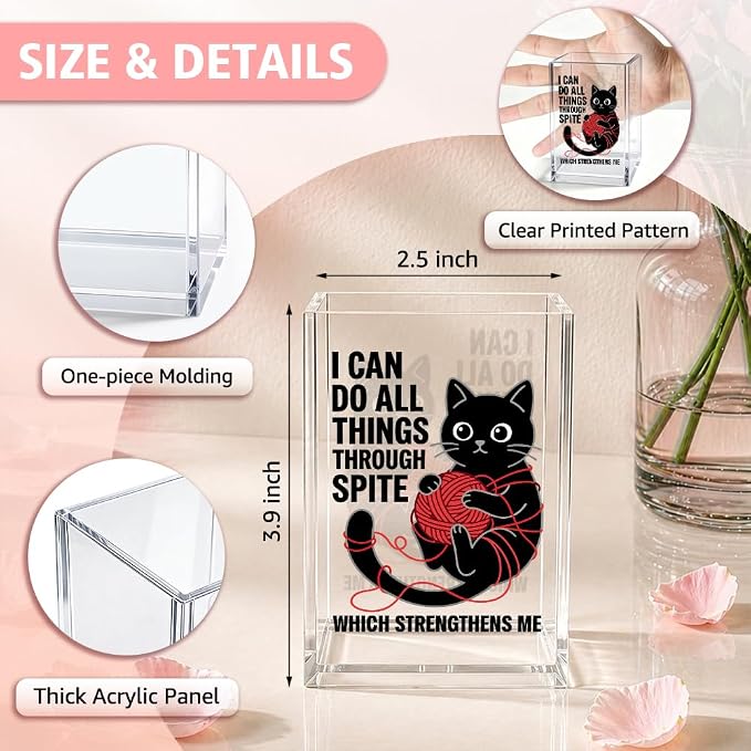 Funny I Can Do All Things Through Spite Acrylic Pencil Holder Cup | Which Strengthens Me, Cat Pen Holder Gifts for Coworker Boss Friend Teacher Nurse, Sarcastic Desk Organizer for Cat Lover