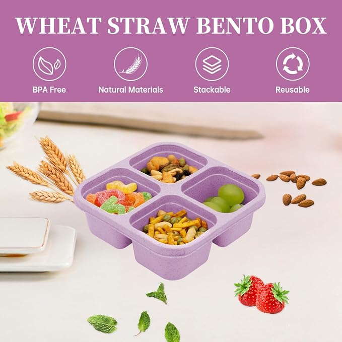 5 Pack 4 Compartment Divided Snack Bento Box, Meal Prep Containers FOR Kids/Toddle/Adults