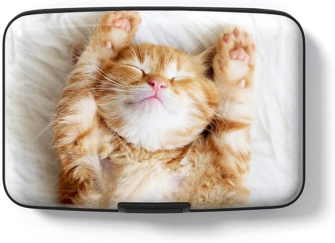 Credit Card Holder Wallet, Small RFID Metal Wallet Credit Cards Holder Pocket Business Card ID Case for Women Men, Cute Cat