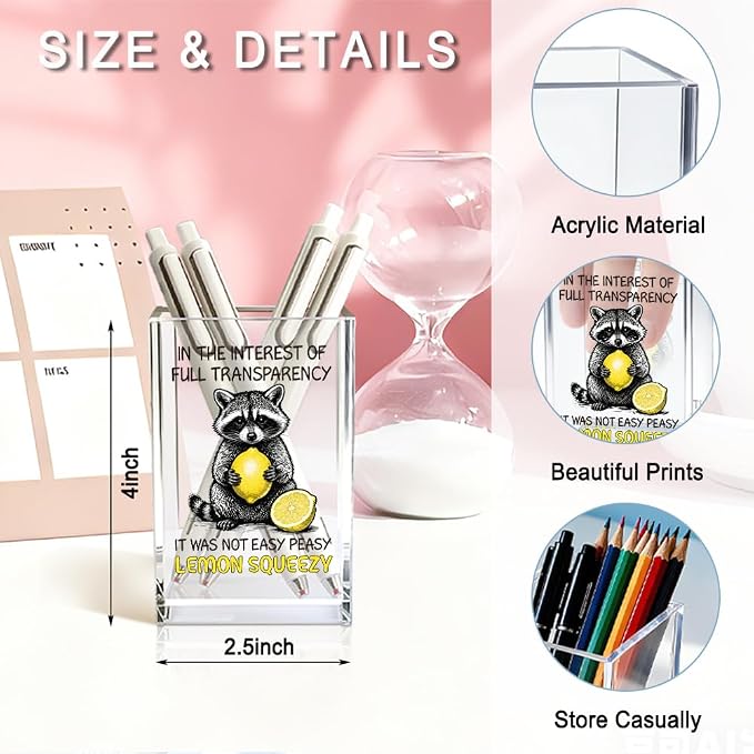 In The Interest of Full Transparency Acrylic Pencil Pen Holder Cup, Funny Sarcastic Racoon Makeup Brush Storage Organizer, Sarcastic Desk Accessories Holder Gifts for Colleague Boss Friend