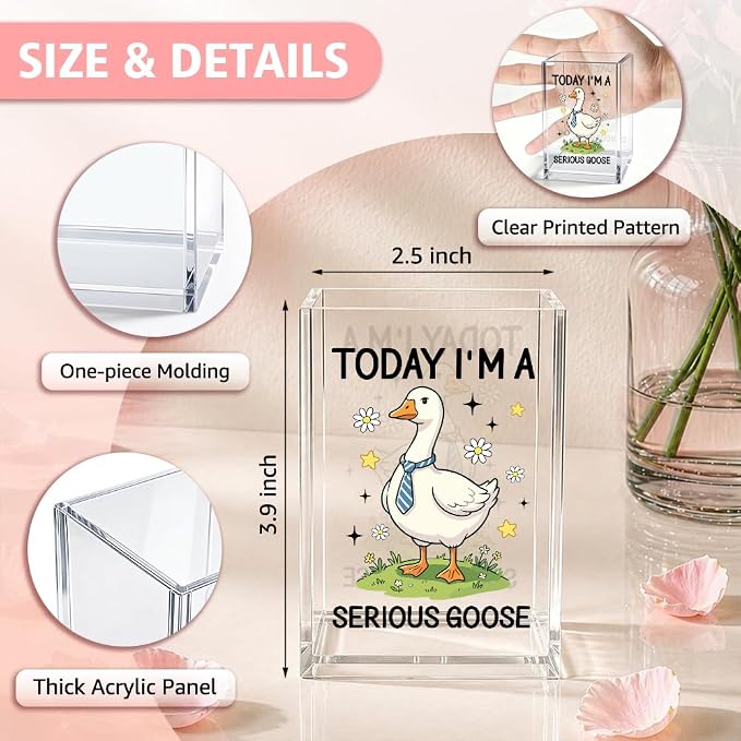 Funny Today I'm A Serious Goose Acrylic Pencil Holder Cup | Silly Goose Pen Holder For Men HR Boss Friend, Sarcastic Humor Office Gifts for Coworker Geese Lover, Desk Accessories