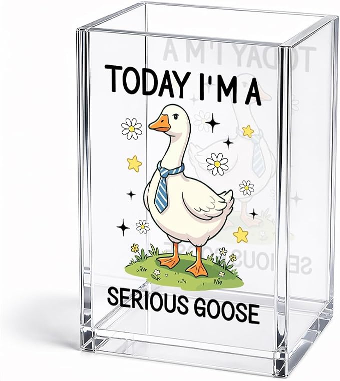 Funny Today I'm A Serious Goose Acrylic Pencil Holder Cup | Silly Goose Pen Holder For Men HR Boss Friend, Sarcastic Humor Office Gifts for Coworker Geese Lover, Desk Accessories