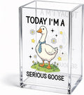 Funny Today I'm A Serious Goose Acrylic Pencil Holder Cup | Silly Goose Pen Holder For Men HR Boss Friend, Sarcastic Humor Office Gifts for Coworker Geese Lover, Desk Accessories