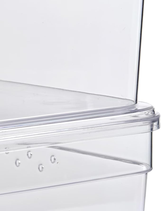 Clear Glossy Plastic Small Closet Storage Shoe Organizer Shoe Box with Lid for Shoe Storage
