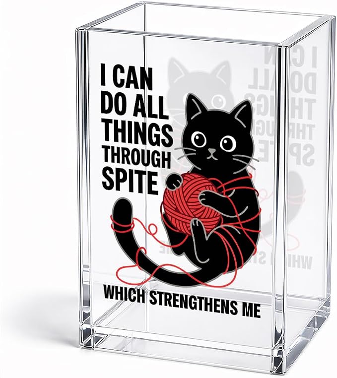 Funny I Can Do All Things Through Spite Acrylic Pencil Holder Cup | Which Strengthens Me, Cat Pen Holder Gifts for Coworker Boss Friend Teacher Nurse, Sarcastic Desk Organizer for Cat Lover
