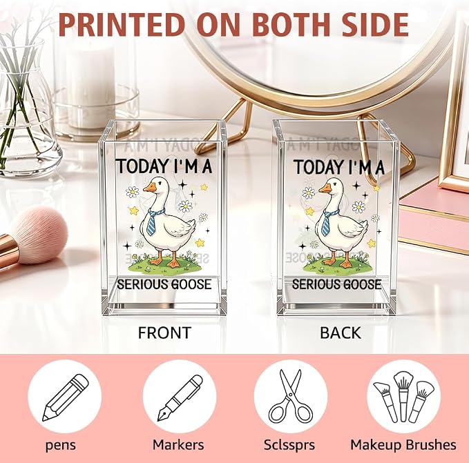 Funny Today I'm A Serious Goose Acrylic Pencil Holder Cup | Silly Goose Pen Holder For Men HR Boss Friend, Sarcastic Humor Office Gifts for Coworker Geese Lover, Desk Accessories