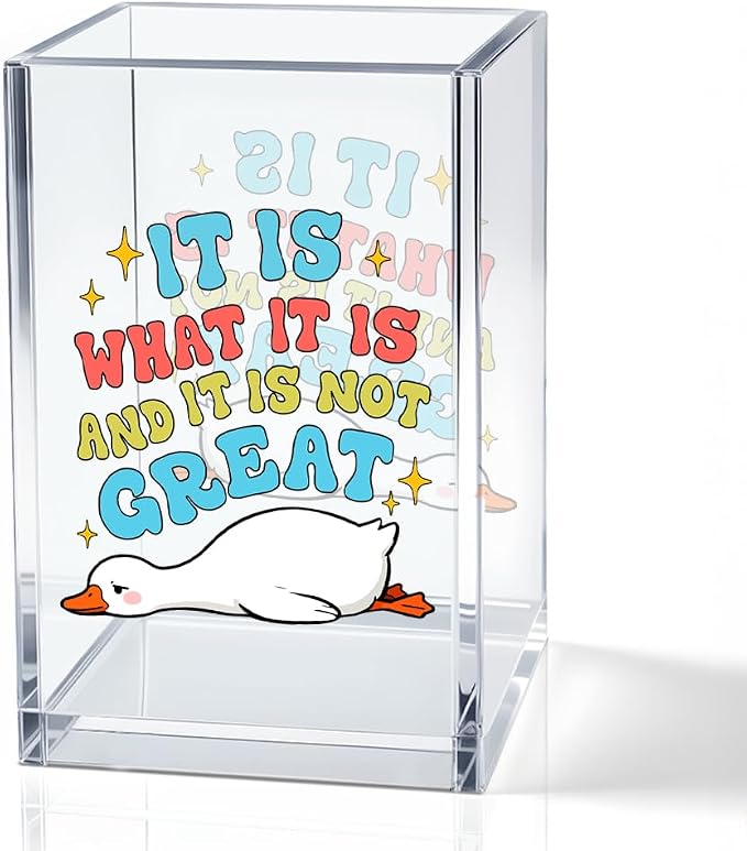 It Is What It Is And It Is Not Great Acrylic Pencil Pen Holder Cup, Silly Goose Makeup Brush Storage Organizer, Sarcastic Goose Quote Pen Desk Accessories Holder Gifts for Women Colleague