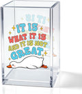 It Is What It Is And It Is Not Great Acrylic Pencil Pen Holder Cup, Silly Goose Makeup Brush Storage Organizer, Sarcastic Goose Quote Pen Desk Accessories Holder Gifts for Women Colleague