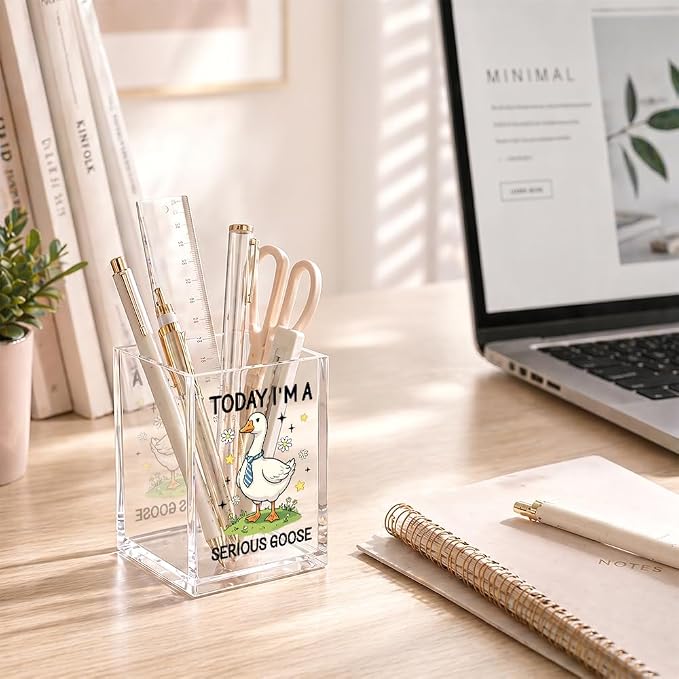 Funny Today I'm A Serious Goose Acrylic Pencil Holder Cup | Silly Goose Pen Holder For Men HR Boss Friend, Sarcastic Humor Office Gifts for Coworker Geese Lover, Desk Accessories