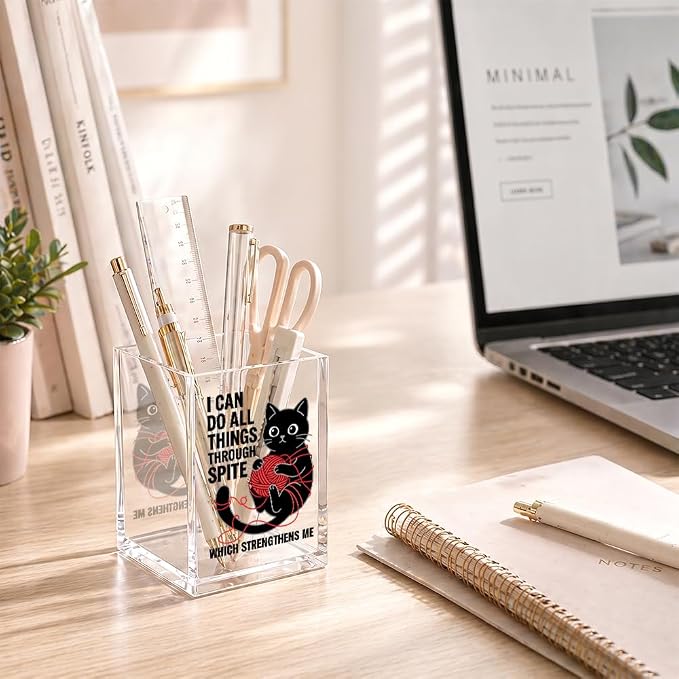 Funny I Can Do All Things Through Spite Acrylic Pencil Holder Cup | Which Strengthens Me, Cat Pen Holder Gifts for Coworker Boss Friend Teacher Nurse, Sarcastic Desk Organizer for Cat Lover