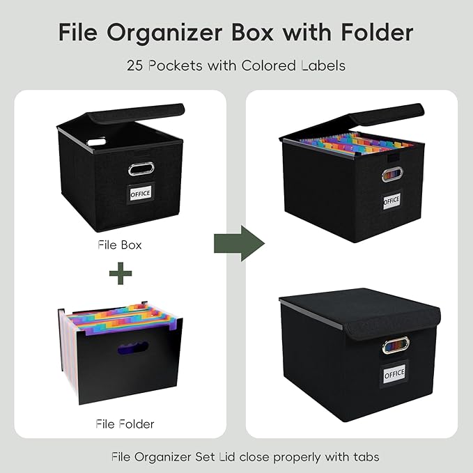 File Organizer Box with 25-Pocket Accordion Folder, File Folder & Protective Lid - Document Storage for Home, Office, School, Black