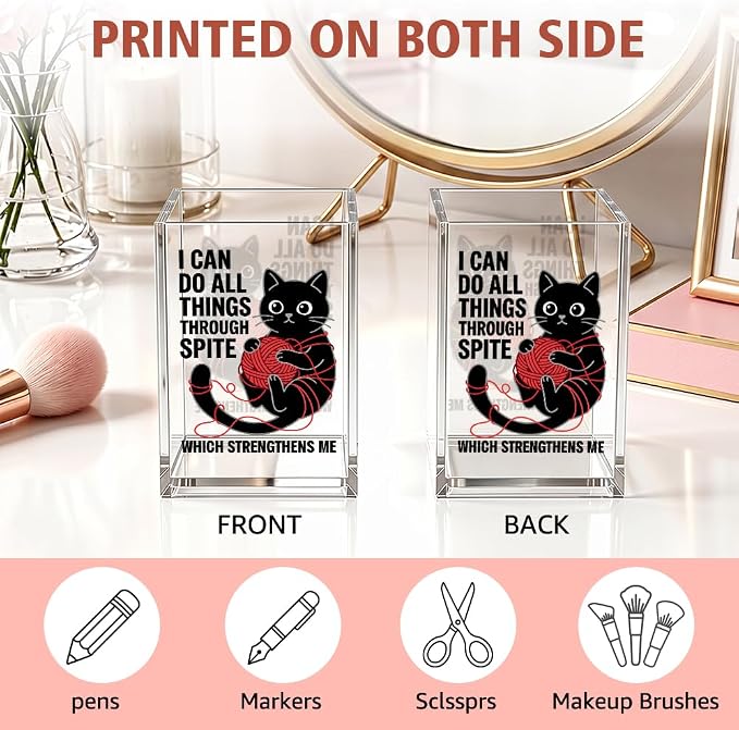Funny I Can Do All Things Through Spite Acrylic Pencil Holder Cup | Which Strengthens Me, Cat Pen Holder Gifts for Coworker Boss Friend Teacher Nurse, Sarcastic Desk Organizer for Cat Lover