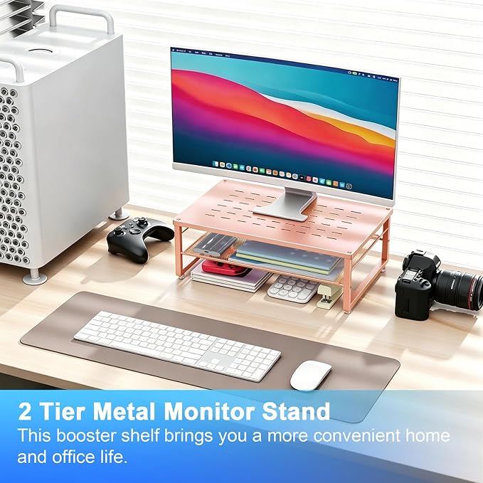 gianotter 2-Tier Metal Monitor Stand Riser, Desk Organizer for Monitor, Office Desk Storage Organizer for Office Supplies (Rose Gold)