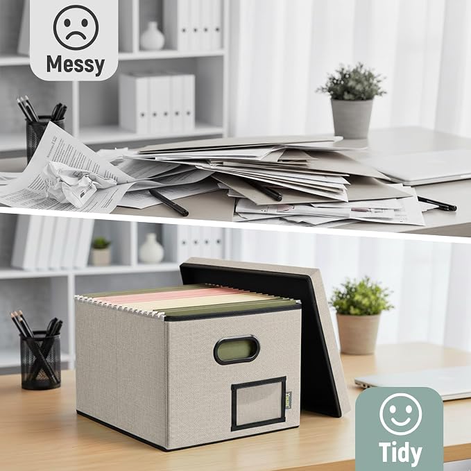 BALEINE File Organizer Box with Lid, Collapsible File Folder Organizer with Plastic Slide, Filing Box for Office Home Document Organizer Storage (Beige, 2PK)
