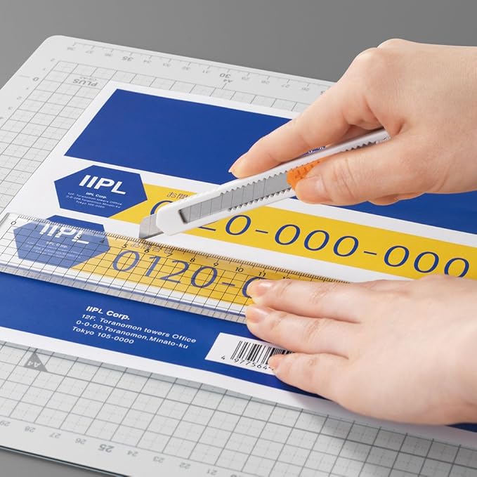 Plus ME-500 48-600 Labels, Normal Labels, FSC Certified Paper, Uncut, 20 Sheets