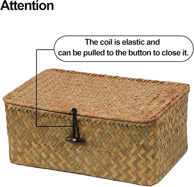 Wicker Storage Basket with Lid, Natural Seagrass Storage Baskets for Organizing, Rectangular Woven Basket for Storage, Decorative Boxes Bins with Lids Home Organizer Decor