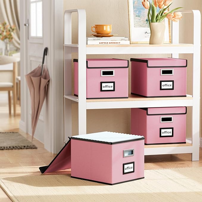 Huolewa File Organizer Box with Lid, Collapsible File Folder Organizer for Office Document Storage, Filing Box with Plastic Slide for Letter Size Hanging File Folders(1 Pack, Pink)