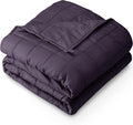 Bare Home Weighted Blanket Queen Size 22lb (60" x 80") for Adults - All-Natural 100% Cotton - Premium Heavy Blanket Nontoxic Glass Beads (Eggplant, 60"x80")