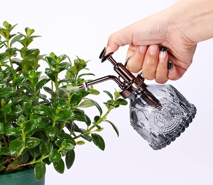 Glass Plant Mister - 6.5" Green Glass Water Spray Bottle with Gold Top Pump, Small Plant Sprayer for Indoor/Outdoor House Plants (Gray+Bronze)