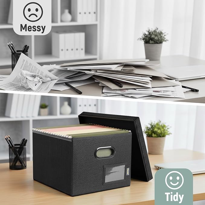 BALEINE File Organizer Box with Lid, Collapsible File Folder Organizer with Plastic Slide, Filing Box for Office Home Document Organizer Storage (Black, 1PK)