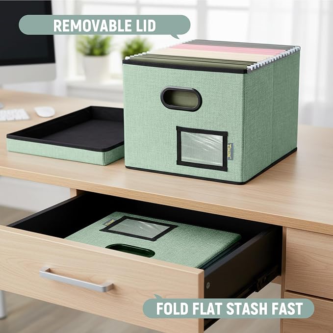 BALEINE File Organizer Box with Lid, Collapsible File Folder Organizer with Plastic Slide, Filing Box for Office Home Document Organizer Storage (Green, 1PK)