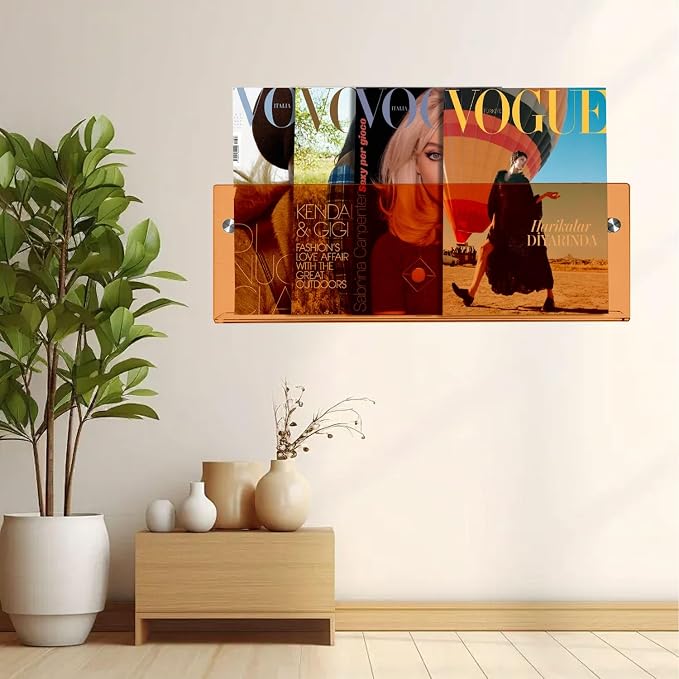 2-Pack Orange Acrylic Magazine Holder Brochure Holder, 24 Inch Hanging Magazine Rack with Hardware, Floating Bookshelf Brochure Display Organizer for Home, Office, Reception Area