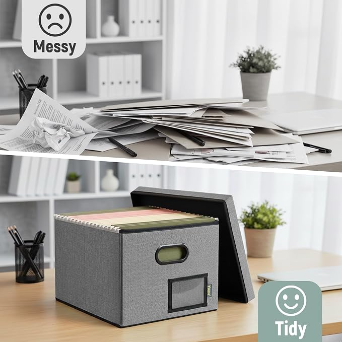 BALEINE File Organizer Box with Lid, Collapsible File Folder Organizer with Plastic Slide, Filing Box for Office Home Document Organizer Storage (Gray, 1PK)