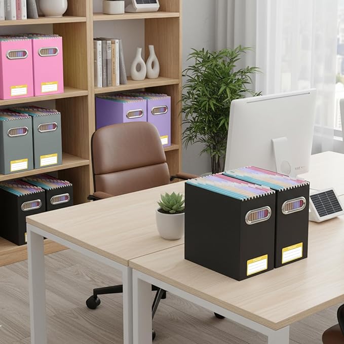 BALEINE File Organizer Box, Cardboard File Folder Organizer with Handle for Letter Size, Portable Collapsible Hanging Filing Box for Home Office Document Storage (2 Pack, Pink)