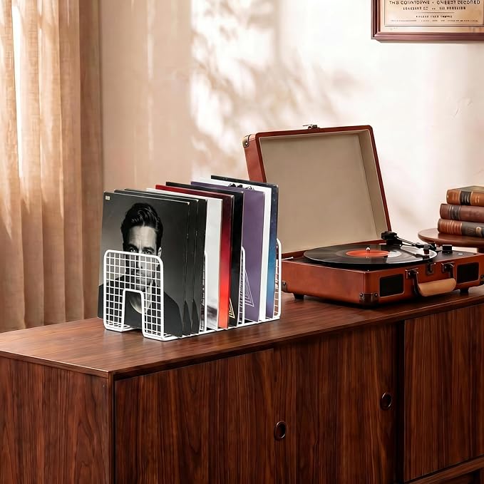 DAWASAPAT Vinyl Record Storage Holder Stand Vinyl Coated Metal Wire Rack Tabletop Magazine Holder Rack, Record Storage, Album Storage Rack Sorter Organizer for Home Office school