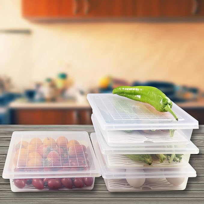 4PCS Food Storage Container, Plastic Food Containers Large | [With Removable Drain Plate and Lid], [Stackable Portable Freezer Storage Containers]-Tray to Keep Fruits, Vegetables, Meat