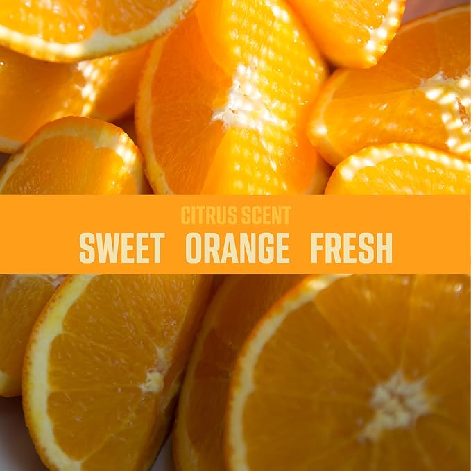 Ozium Air Sanitizer Spray - Room Odor Eliminator for Home, Car, and Office - Citrus - 8 oz Can - 6 Pack