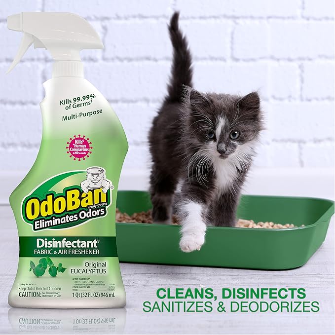 OdoBan Ready-to-Use Disinfectant and Odor Eliminator, 32 Ounce Spray Bottle, Original Eucalyptus Scent