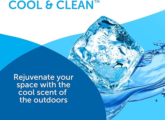Bright Air, Cool & Clean, 2-in-1 Moisture Absorber & Odor Eliminator, Case of 4, Lasts up to 60 Days Each