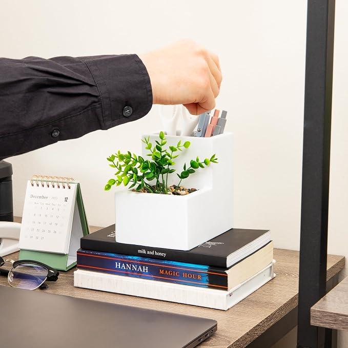 Mind Reader Ceramic Desktop Planter Pencil Cup, Desk Organizer with Faux Succulent, White