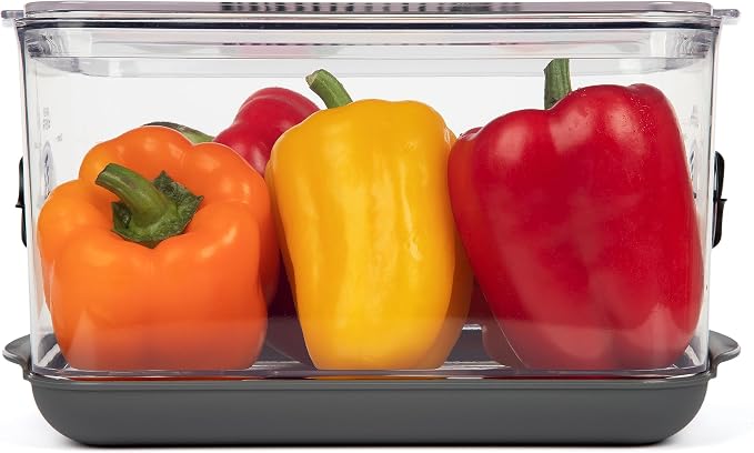 ProKeeper+ by Progressive Stackable Produce ProKeeper Storage Container with Stay-Fresh Vent System (PKS-902 (5.7 qt Large Produce))