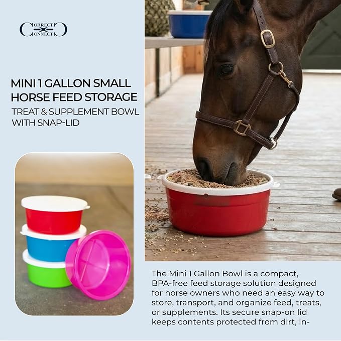 Correct Connect RCC Mini 1 Gallon Horse Feed Storage Bowl with Snap Lid, Feed Container for Treats and Supplements, BPA Free Food Grade Feed Bucket, Stackable (Blue)