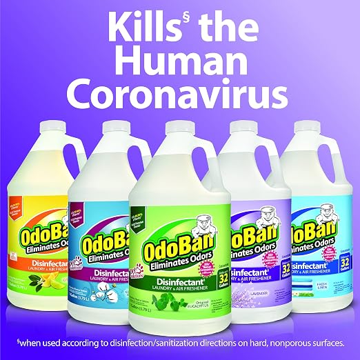 OdoBan Disinfectant Concentrate and Odor Eliminator, 2 Gallons, Citrus Scent