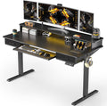 WALKINGDESK 55x24 Inches Electric Standing Desk with Keyboard Tray, Height Adjustable Stand up Desk with 2 Drawers, Ergonomic Sit to Stand Desk with Storage Monitor Stand, Computer Table, Black