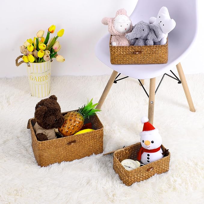 Natural Seagrass Storage Baskets with Lid,Multipurpose Home Organizer Bins Boxes for Shelf Organizer,Decorative Storage Bins- 12'' x 7'' x 6''