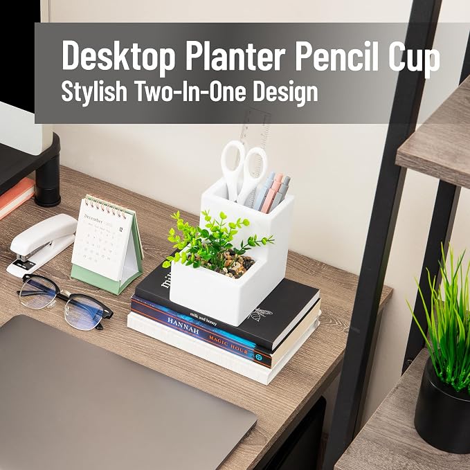 Mind Reader Ceramic Desktop Planter Pencil Cup, Desk Organizer with Faux Succulent, White