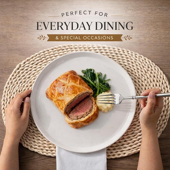 AmorArc Ceramic Dinnerware Sets, Handpainted Plates and Bowls Set with Rustic Terracotta Underside, Scratch Resistant Stoneware Dishes Set, Dishwasher & Microwave Safe