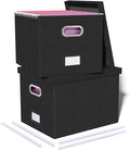 Oterri 2 Pack File Storage Organizer, Filing Box, Portable File Box with Lid, Fit for Letter/Legal File Folder Storage, Document Organizer, Black