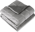 Bare Home Weighted Blanket Twin or Full Size 7lb (40" x 60") for Adults - Minky Fleece - Premium Heavy Blanket Nontoxic Glass Beads (Light Grey, 40"x60")