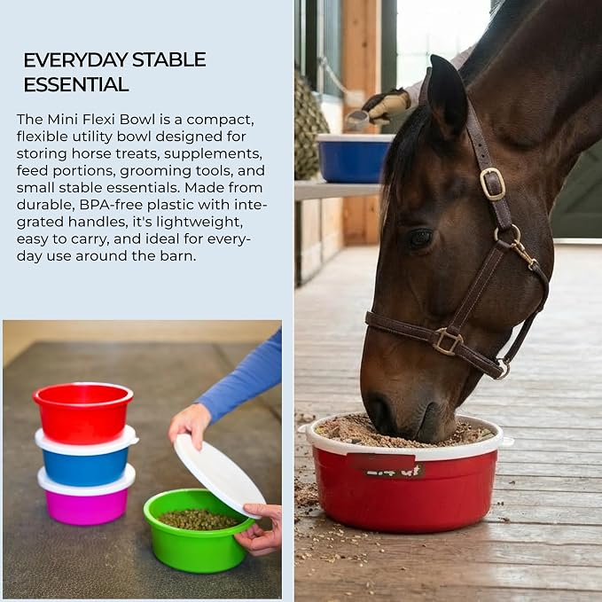 Correct Connect RCC Mini 1 Gallon Horse Feed Storage Bowl with Snap Lid, Feed Container for Treats and Supplements, BPA Free Food Grade Feed Bucket, Stackable (Green)